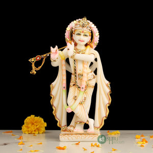 Color_Multi Color